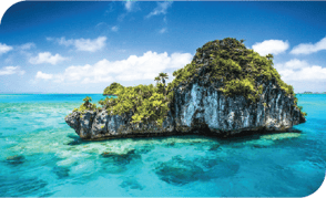 FijiImage