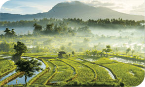 IndonesiaImage